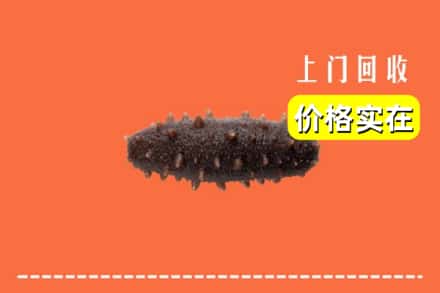大理宾川县回收海参